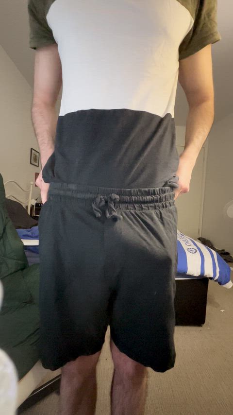 Average size snake in Australia 🇦🇺 (our snakes are pretty big...😅)