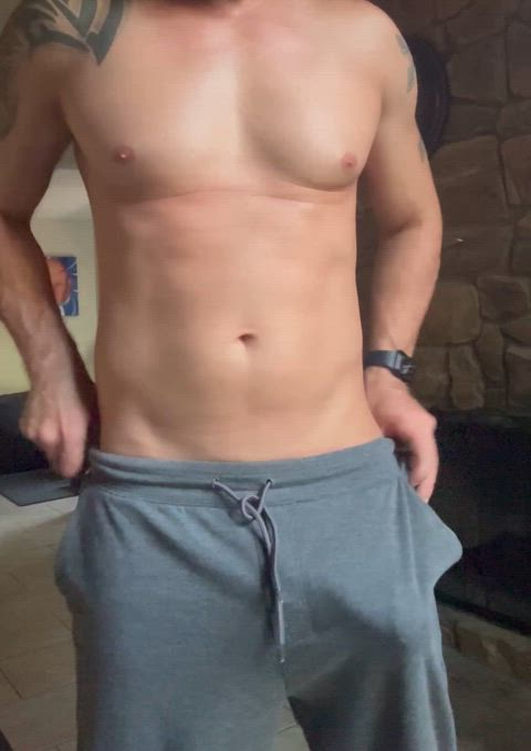 42M Experienced Jacksonville Florida Bull