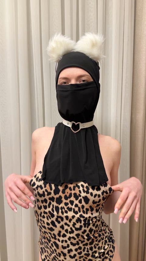 My little pale tits jump out when they see their owner, meow