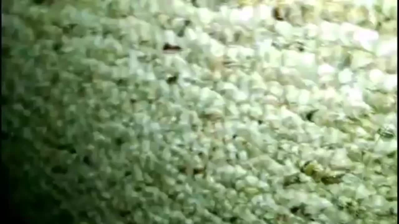 Real Mom Son Caught Fucking- With AUDIO