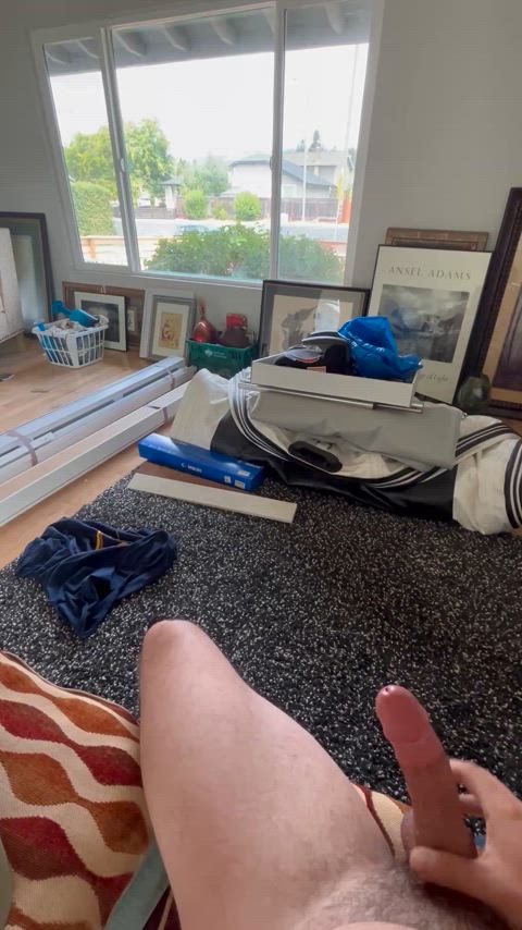 Stroking in front of the window while house sitting