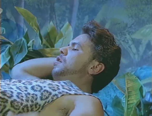 Comeback (1995) - Christy Canyon, Steven St. Croix