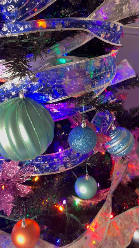 Just a petite treat waiting under the tree