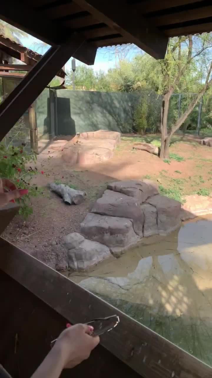 Enjoy some booty! Trying to not get caught showing off for you guys by the other visitors