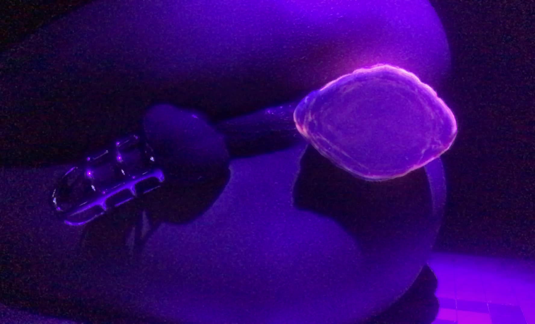 Some more UV Knottyness