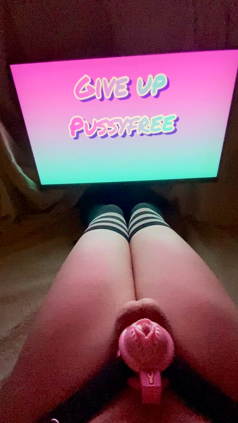 Pussy is not for me