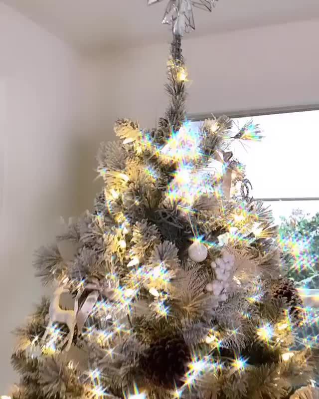 Christmas Twerk