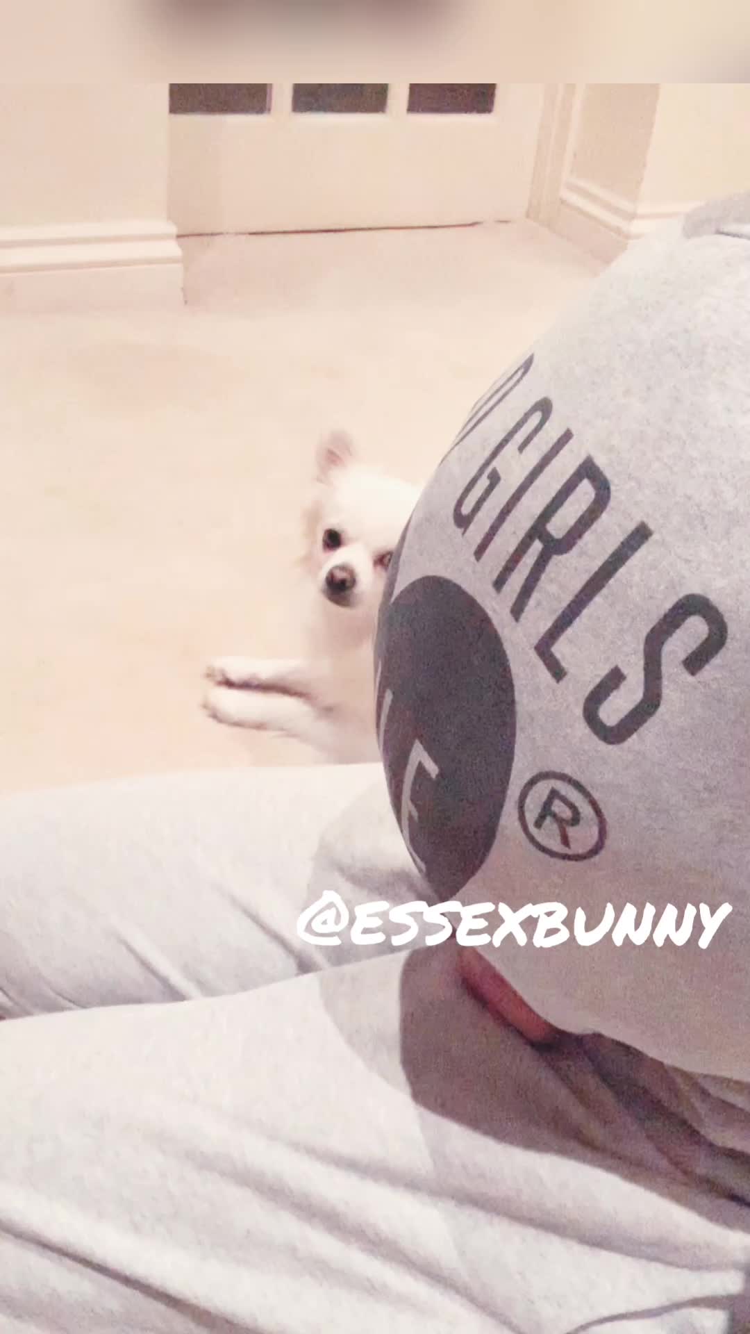 Essexbunny 10k Boobs