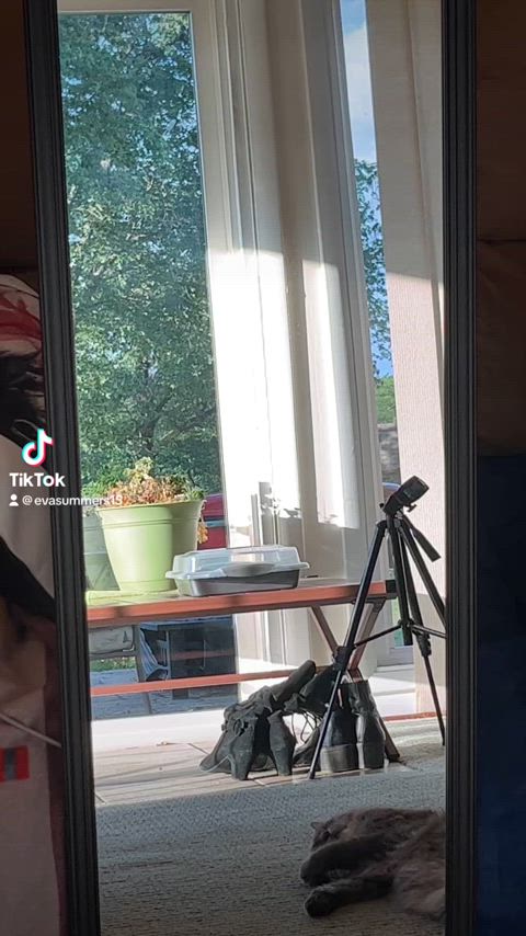 @evasummers15