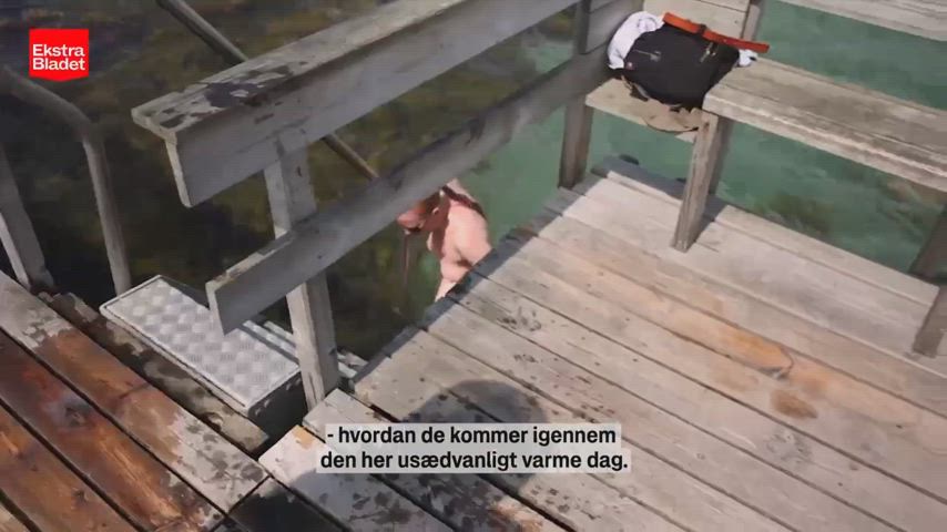CMNF Danish Interview Nudist Public Redhead Wet Porn GIF by swap89