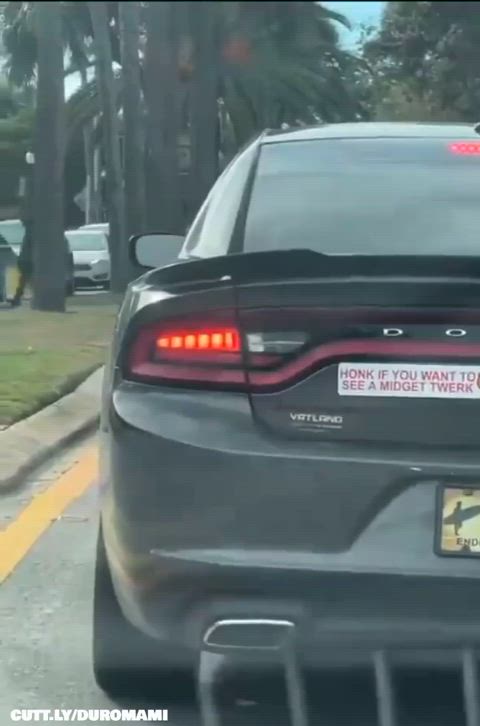 Amateur Dancing Exhibitionist Funny Porn Public Trashy Trashy Boners fun r/NSFWFunny Porn GIF by duromami