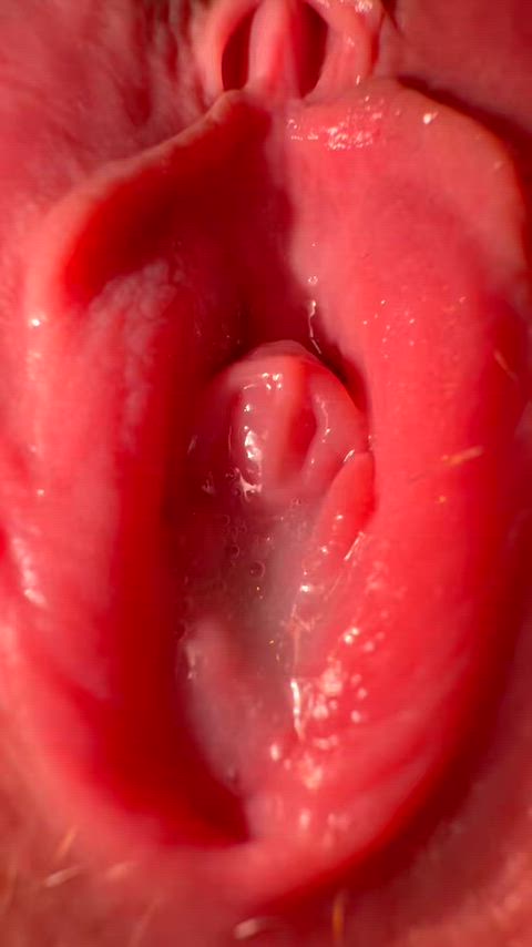 WanExoticHorseshoebat thumbnail