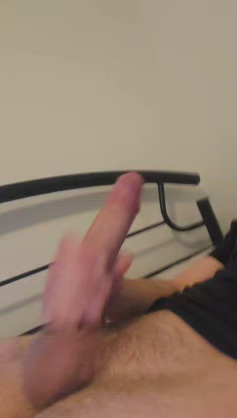 WastefulInfatuatedMantid thumbnail