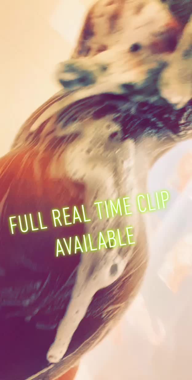 Enjoy the essence of a beautiful, ebony goddess, as I rinse the day away in this full shower clip 💦🍑 available on OnlyFans ✨ CocaNyx6 Custom Content Sexting & More