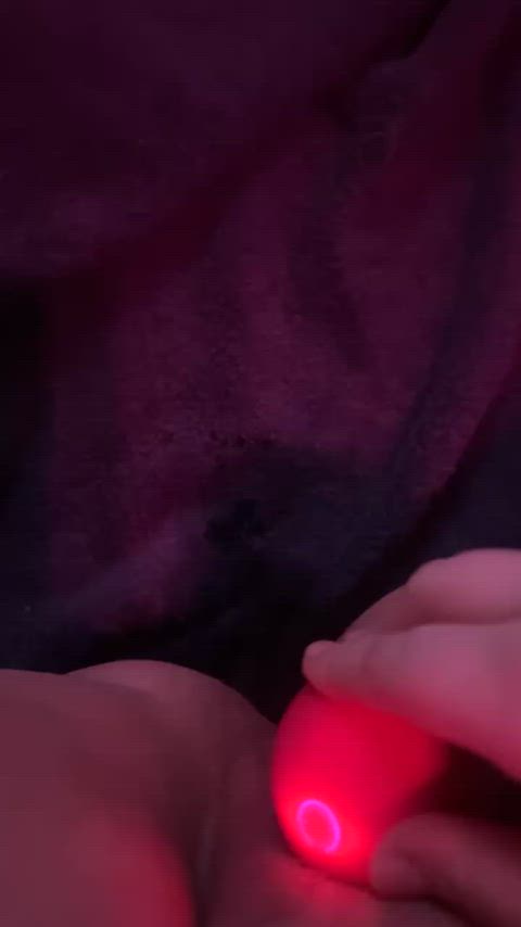 I think buying this rose was my best purchase🥴