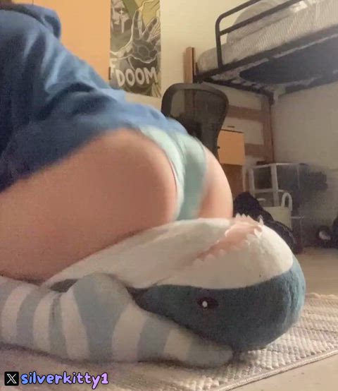 WaterloggedAdmirableCobra thumbnail