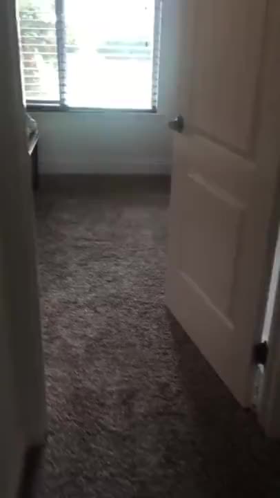 Hubby came home and caught wifey riding another's man Cock! Seems he enjoys it..