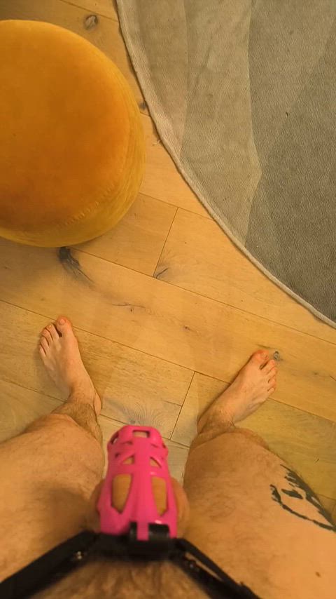 Forced to film while she worships our bulls BBC