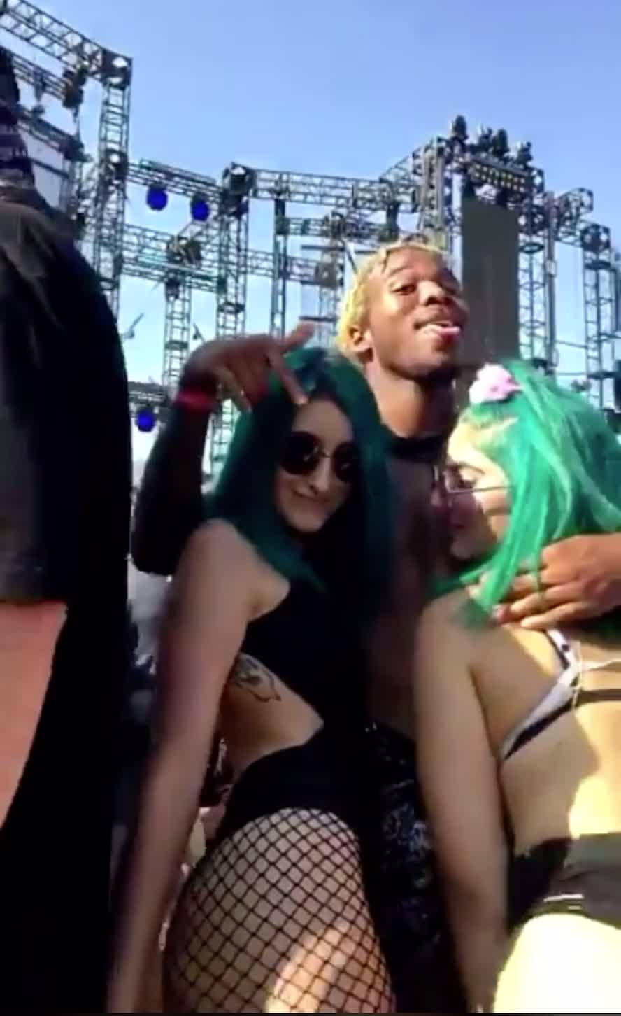 They look like fun