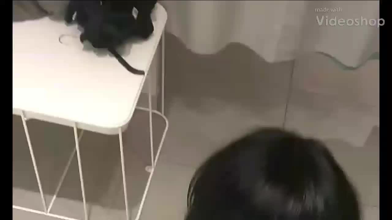 Sucking his hard dick