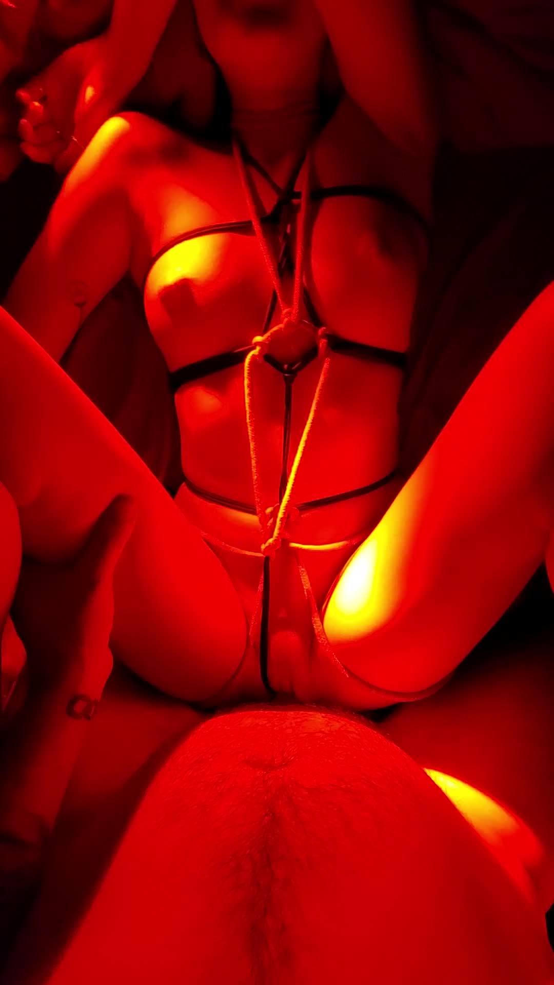 Love being ucked while wearing a harness 😘