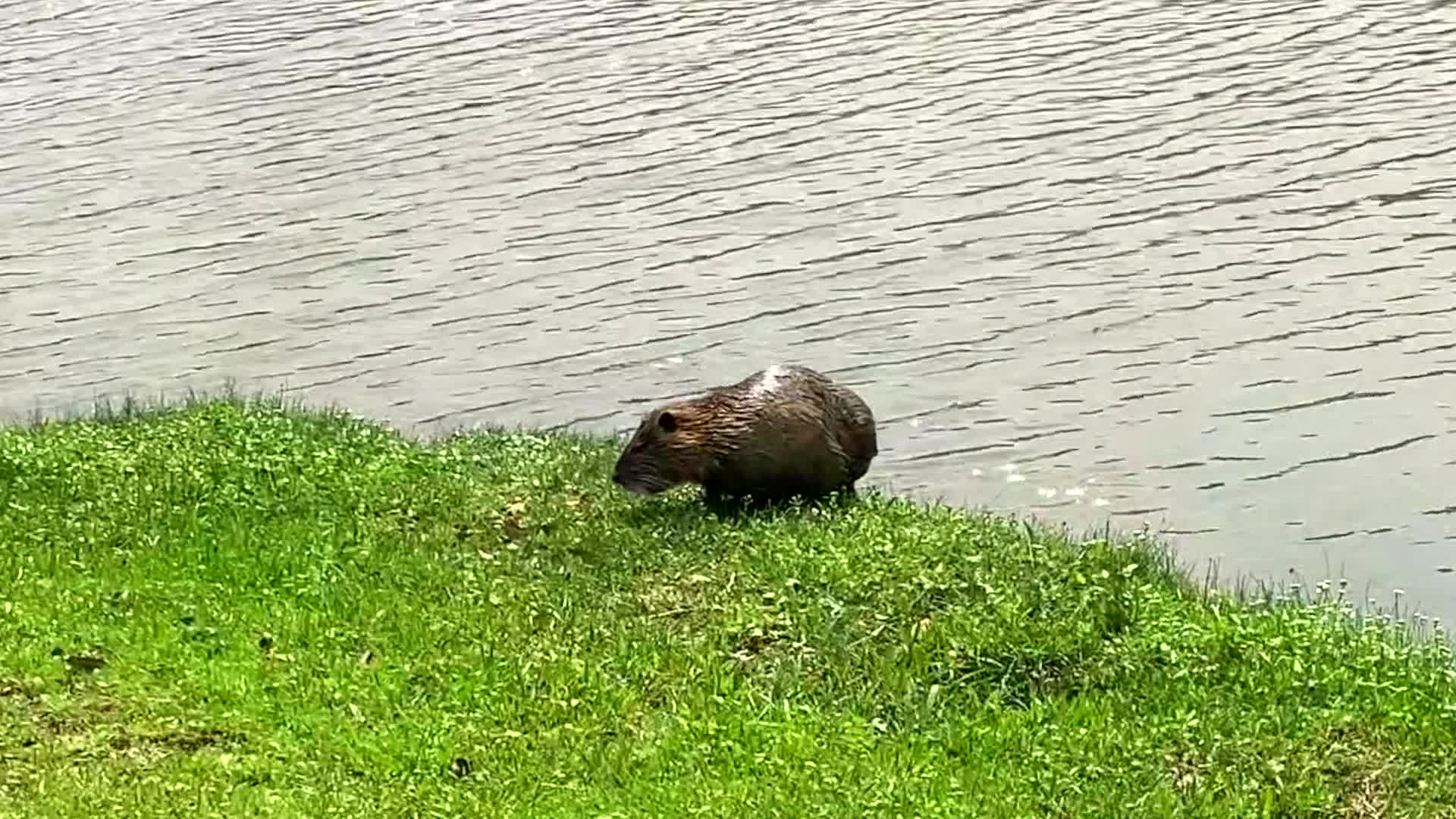 Wow nature is much interesting..🧐