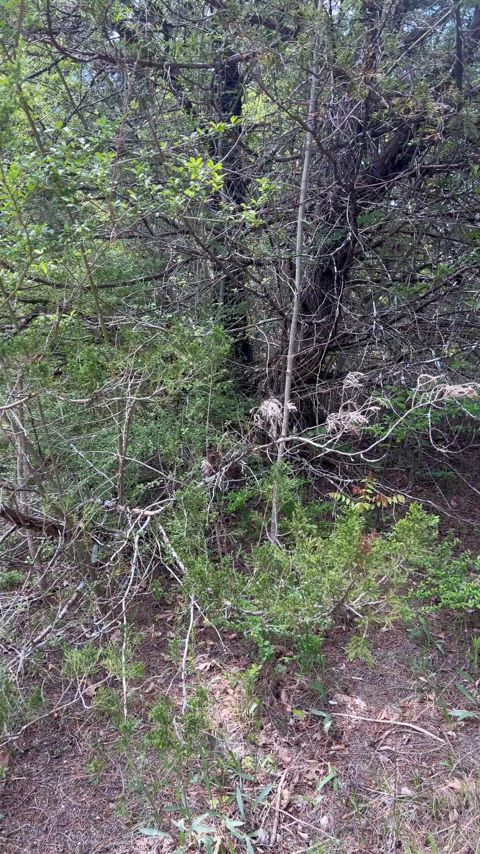 What hiking with me is like
