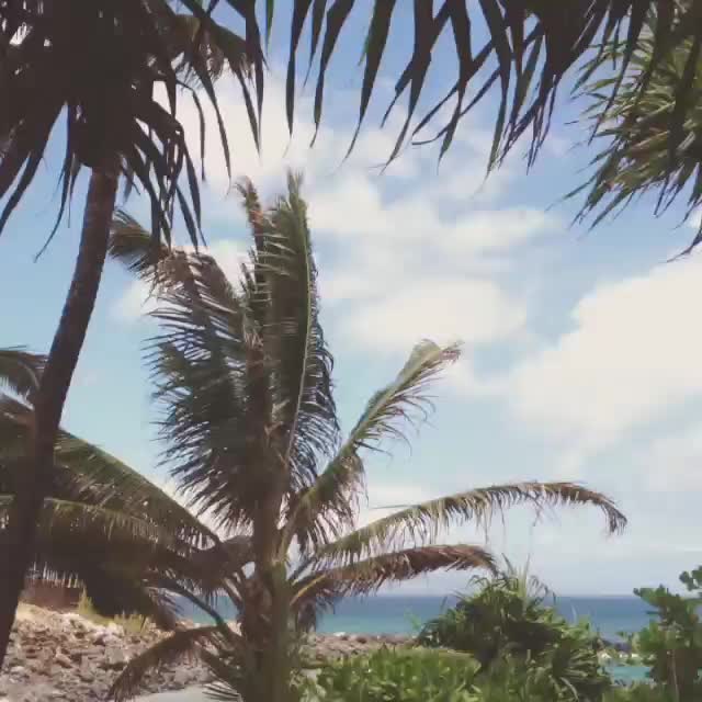 Summer Shoot