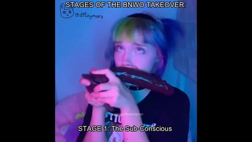 Stages of the BNWO takeover