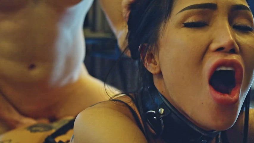 Ready to handle you wild