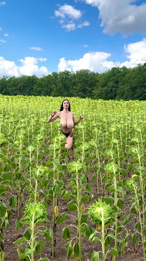 What did you do if you saw me running across the field?