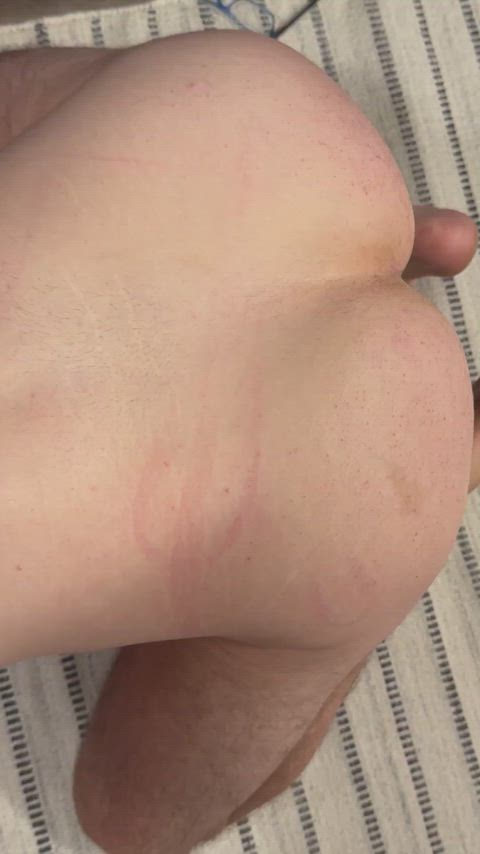 My Wife’s bull shared some of the bubbly he popped for his new job but I had to drink it from a dog dish while he whipped me with the leash