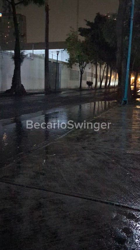 Playing in the street