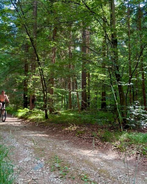 Biking topless was fun for me and for one logger [gif]