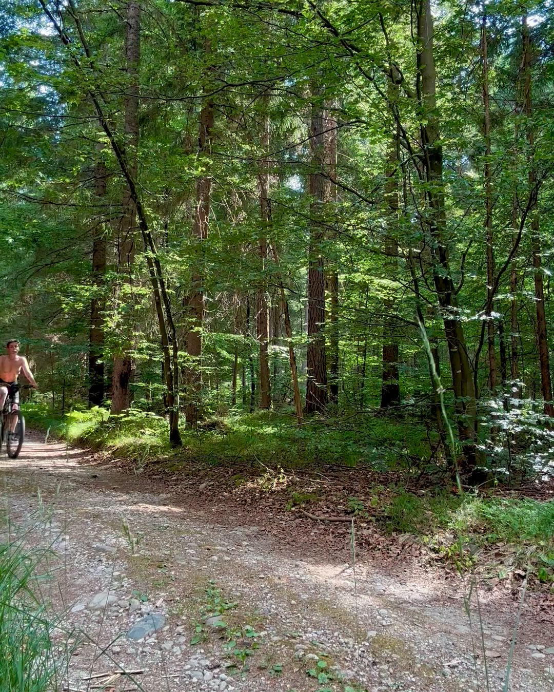 Biking topless was fun for me and for one logger [gif]