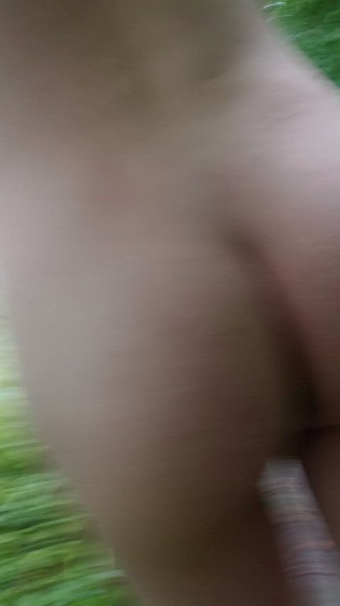 WiseTediousGreyhounddog thumbnail