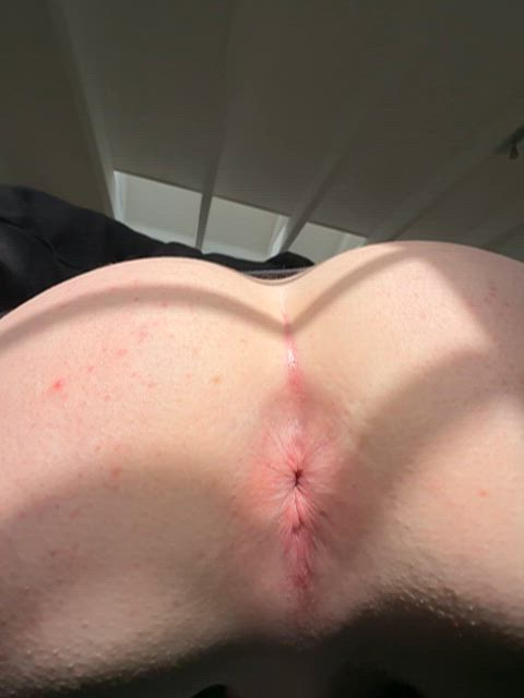 WittyProfitableArmyworm thumbnail
