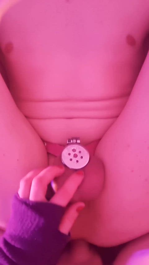 getting fucked raw in a flat cage, like a good slut should 😻