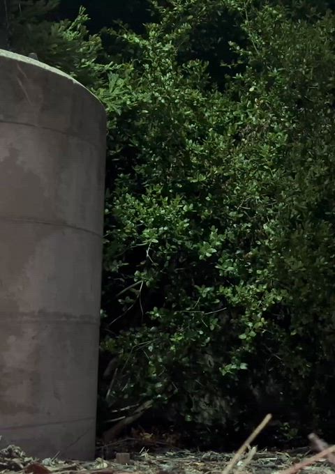 [28] Right Next to the Freeway, Wonder How Many People Saw Me😅