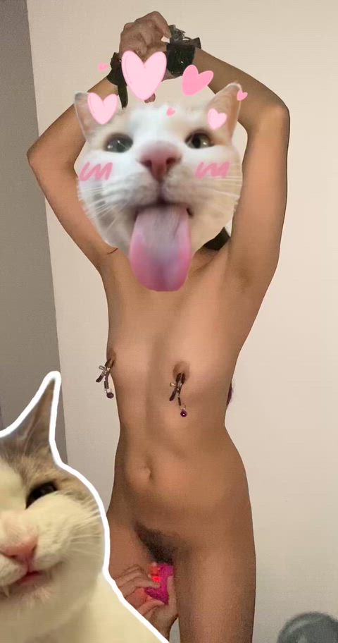 Playtime with my Trentahin.