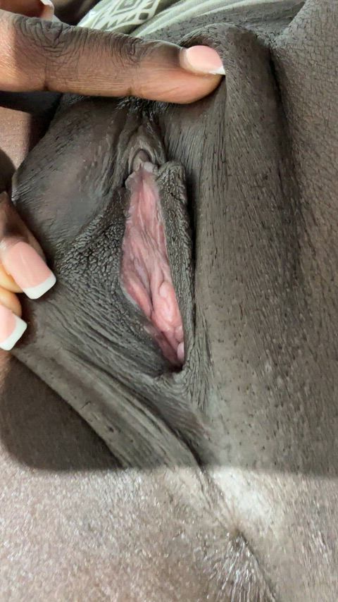 Pussy ready… are you eating it or breeding it?