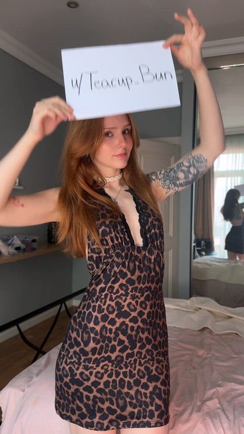 YummyHighAmericanpainthorse thumbnail