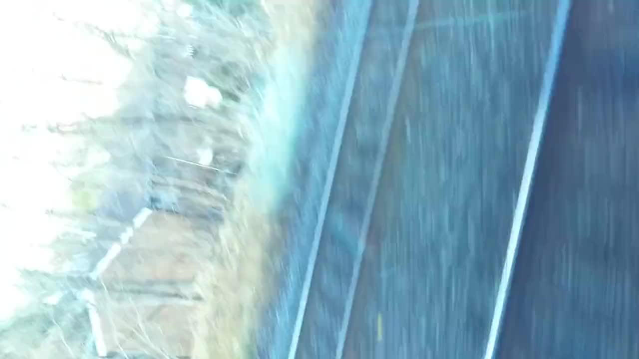 Gone Wild on the 🚆